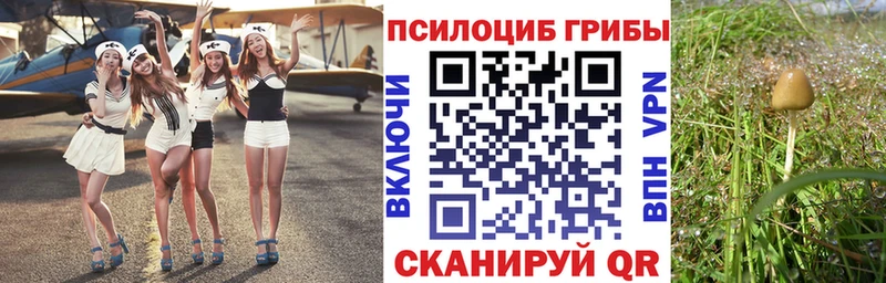 Галлюциногенные грибы Psilocybe  что такое наркотик  Гусь-Хрустальный 